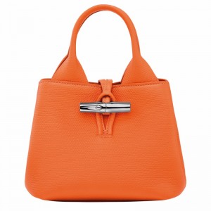 Longchamp Le Roseau XS Handtas Dames Oranje Belgium | 10278HFP017