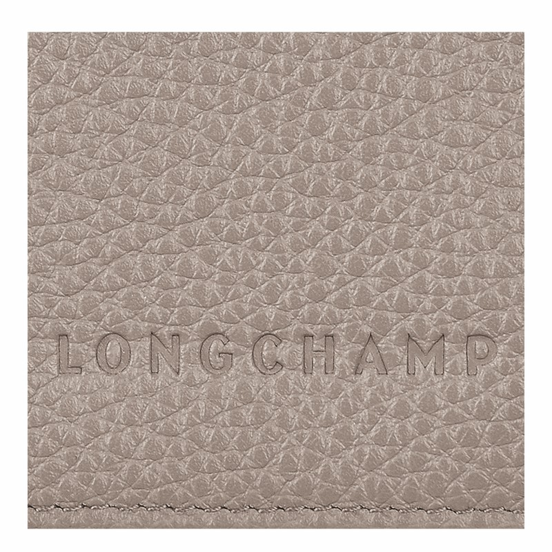 Longchamp Le FOULONNÉ Paspoorthouder Dames Grijs Belgium | L3416021P55