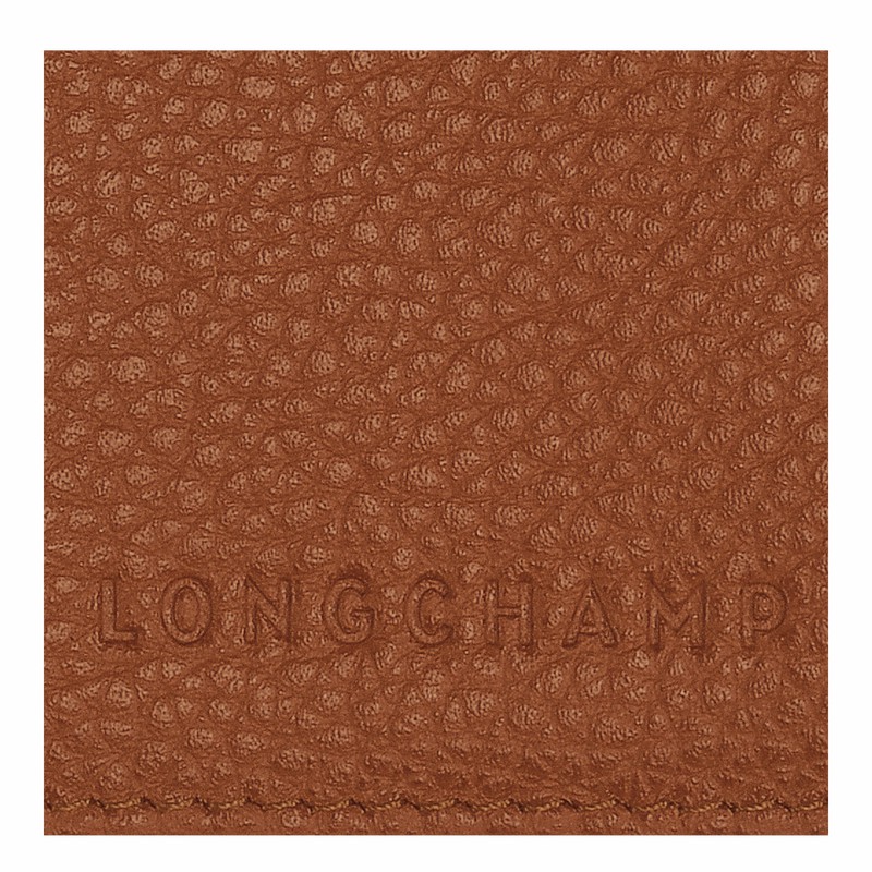 Longchamp Le FOULONNÉ Paspoorthouder Dames Caramel Belgium | L3416021121