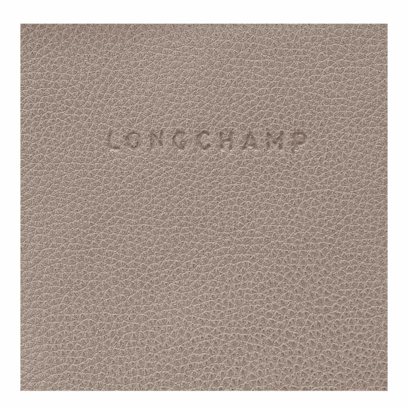 Longchamp Le FOULONNÉ Rugzakken Dames Grijs Belgium | 10195021P55