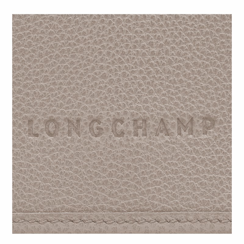 Longchamp Le FOULONNÉ XS Clutch Dames Grijs Belgium | 10133021P55