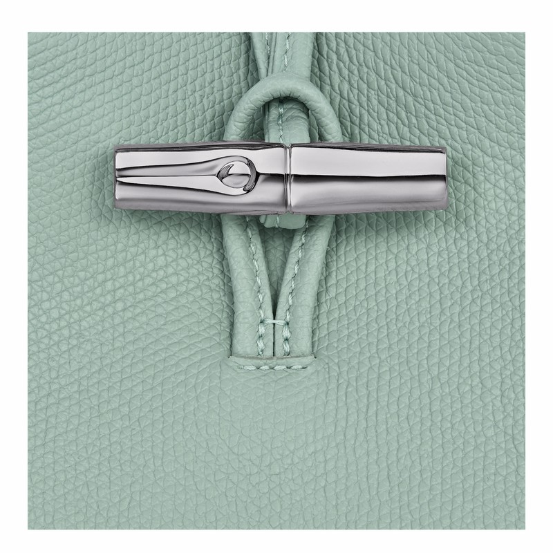 Longchamp Le Roseau S Handtas Dames Celadon Belgium | 10273HFP282