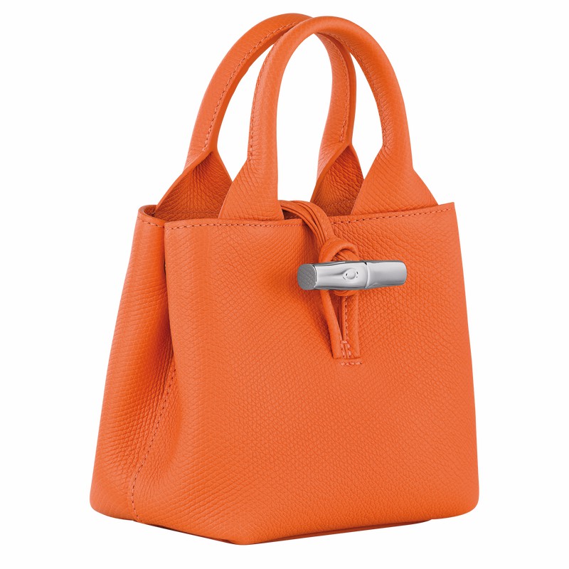 Longchamp Le Roseau XS Handtas Dames Oranje Belgium | 10278HFP017