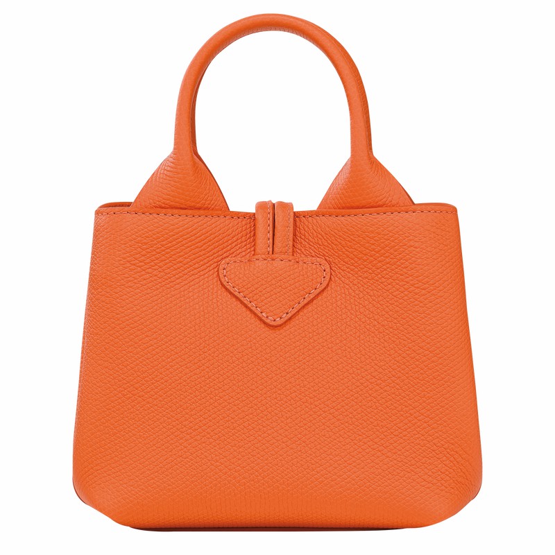 Longchamp Le Roseau XS Handtas Dames Oranje Belgium | 10278HFP017